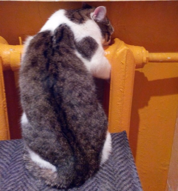 На улице заминусили