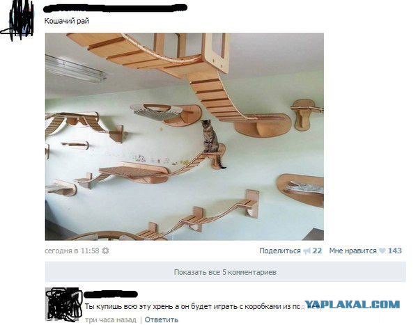 Свежие картинки из сети