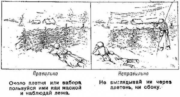 Курс молодого разведчика