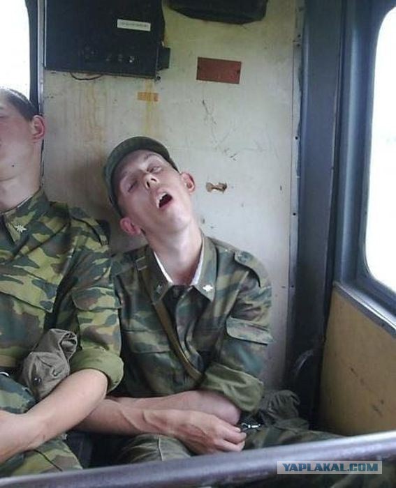 Картинка 2 пропущенных