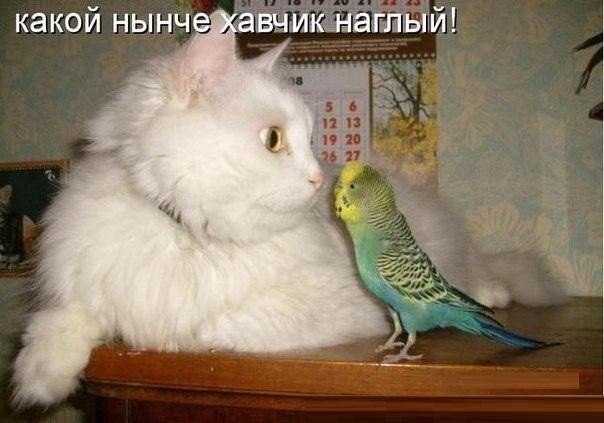 Подборка картинок