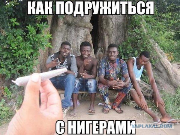 Картинки  разные