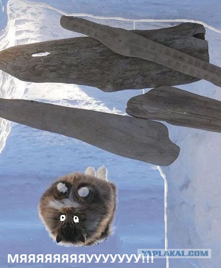 Ну очень жабельно