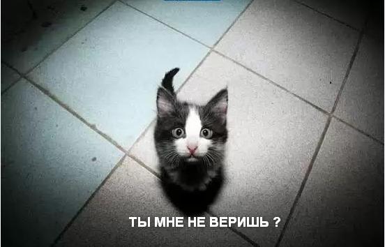 Сердцеедка