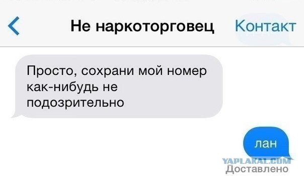 Подборка веселостей из сети