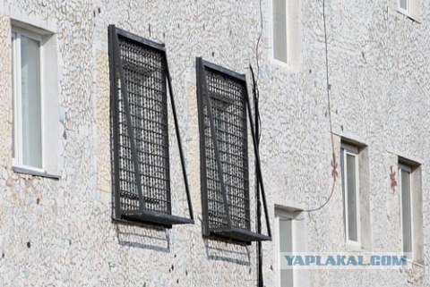 Тимошенко в хате "прописали"....