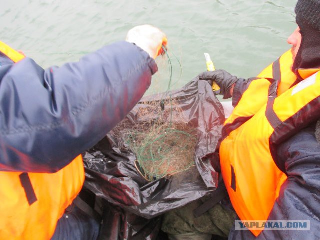 Браконьерам пламенный привет