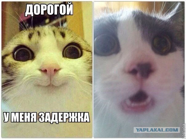 Ужасные и смешные фото из соц.сетей