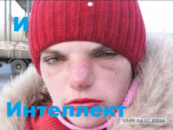 Соцсети и иже с ними