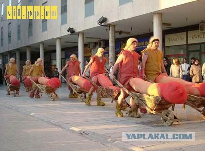 Подборка смешных и забавных фото