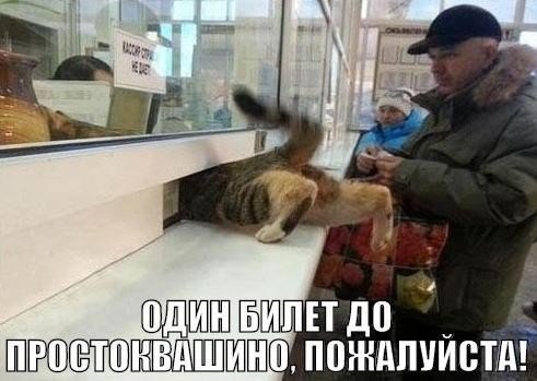 Картинки и демотиваторы