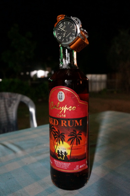 Самостоятельное путешествие в Шри-Ланку