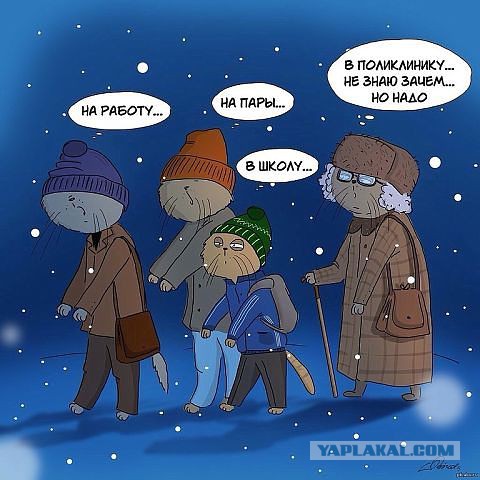 Веселые картинки
