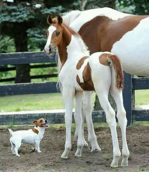 Подборка картинок на среду