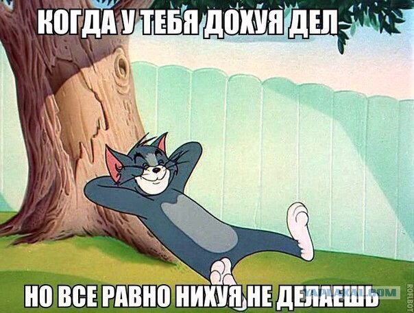 Прикольные и не очень картинки из сети