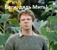 ДТП и слово