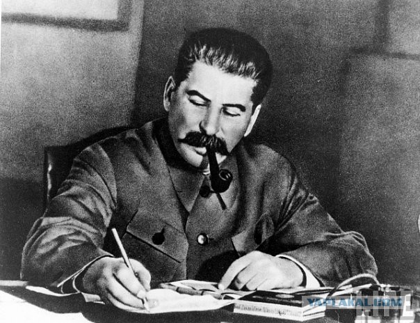 Фотоподборка на пятницу
