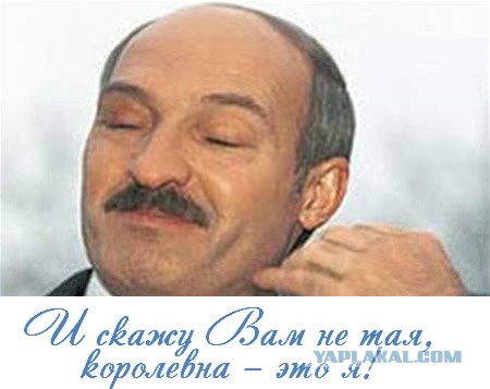 Мисс Беларусь 2016 год (кандидатки)