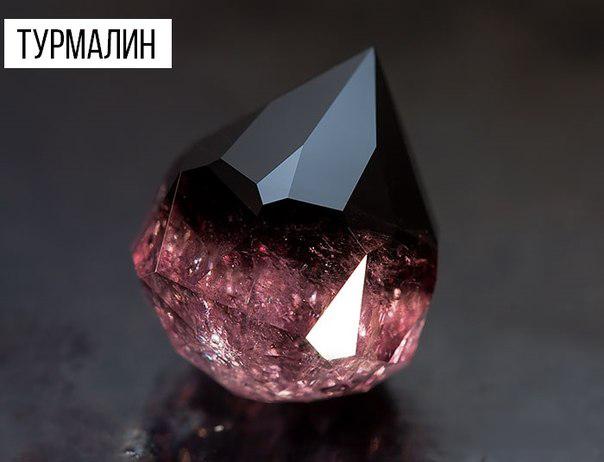 Интересные и веселые картинки