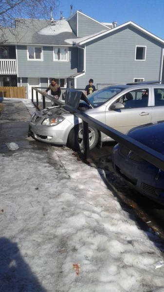 Подборка интересных и веселых фото