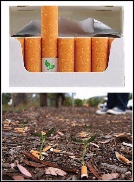 Интересные и веселые картинки