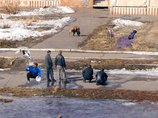 Фотожаба: да здесь где-то недалеко!