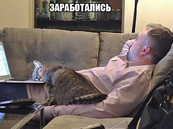 Мохнатые беспредельщики