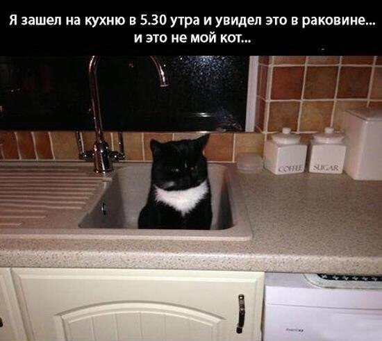 Юмор не для всех