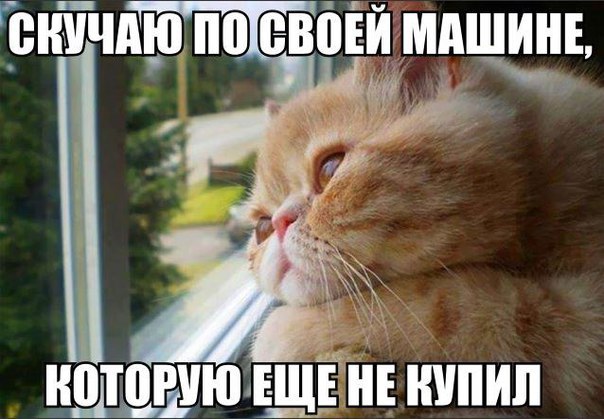 Смешные картинки из сети на 27.10.16