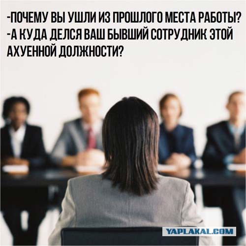 Сходил на собеседование