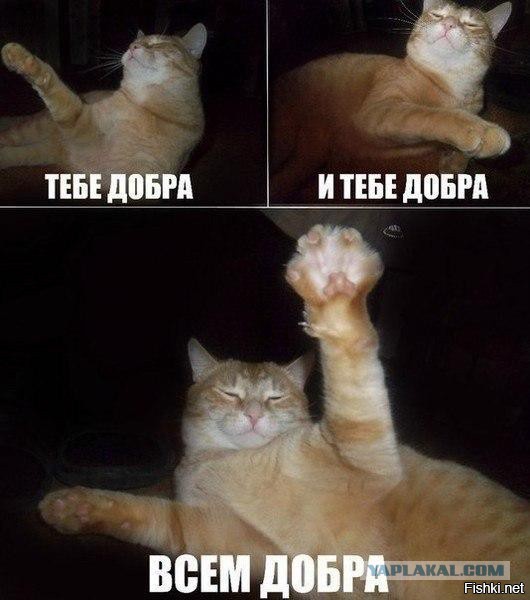 САСАГА!