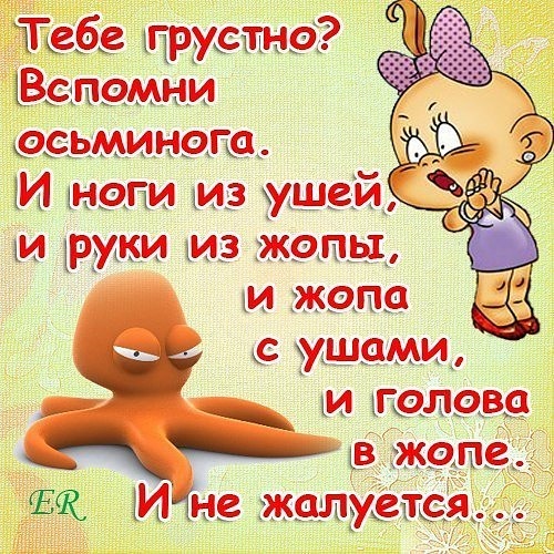 Жизнь как она есть 2