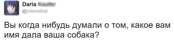 Коменты 29.04.17