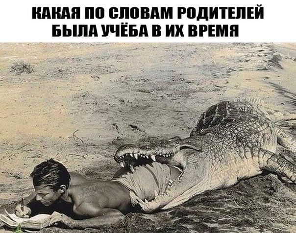 Картинки с глубочайшим жизненным смыслом. Часть третья