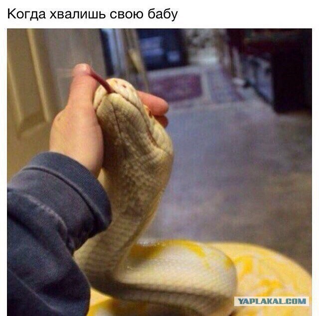 Столкновение с фундаментальной женской логикой, против которой нет оружия