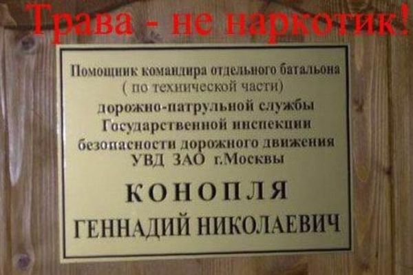Любят сказки или с головой не в порядке?