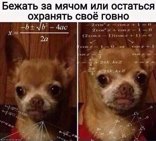 Подеградируем, немного картинок веселых и разных