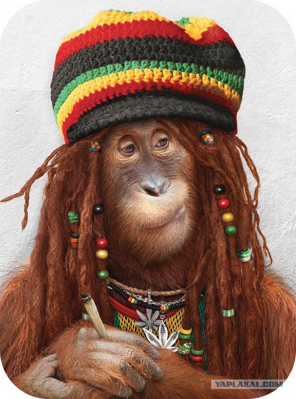 Встреча одногрупников