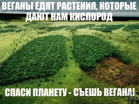 Ярость веганов