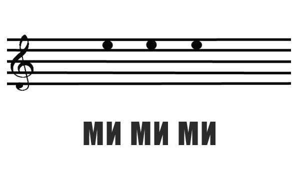 Котовторник 9.01.2018