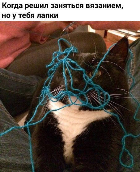 Нестандартный юмор