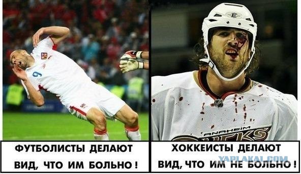 МИД Германии попросил немцев в Канаде проявлять сочувствие к жителям страны