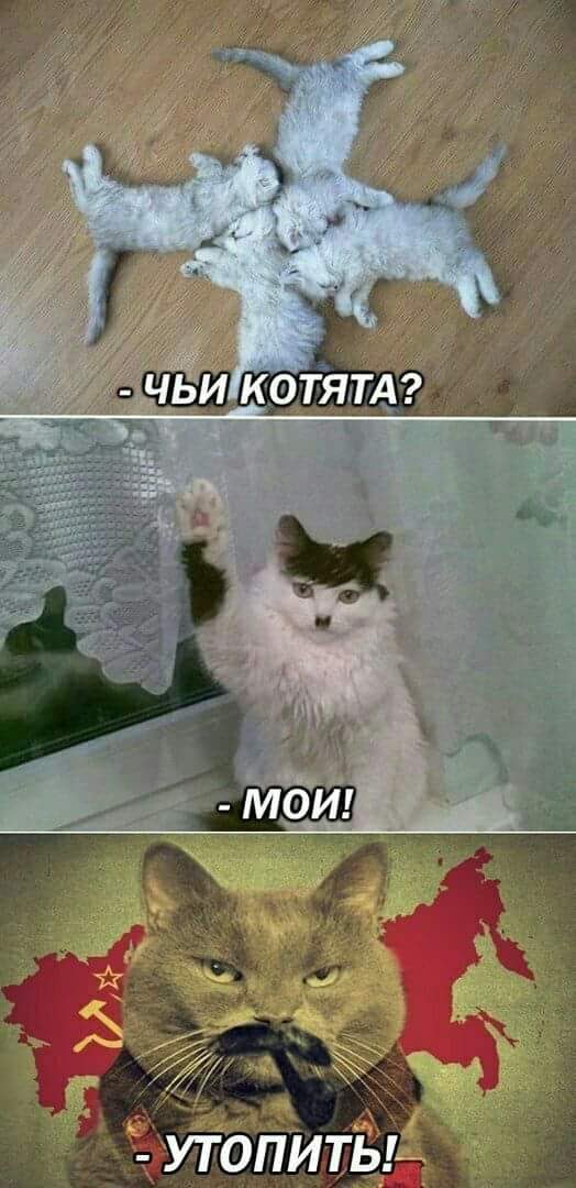 Нестандартный юмор