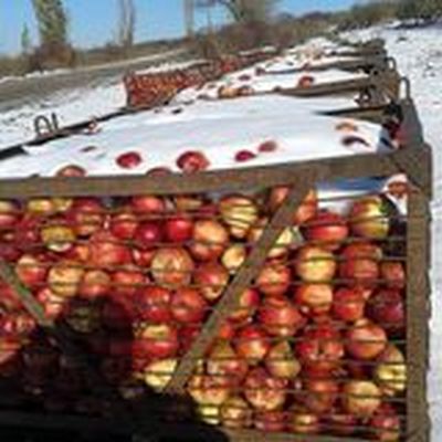 Молдавия выслала трех российских дипломатов