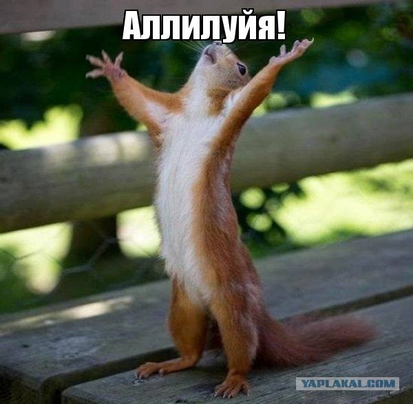Американский суд присудил Поветкину 4,3 миллиона долларов