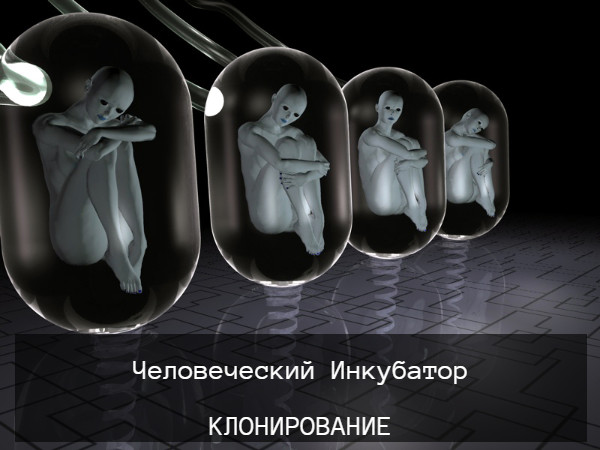 Холодильник-2. Главы 1-50