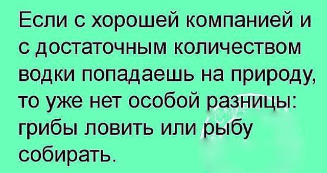 Подборка интересных и веселых картинок 17.08.18