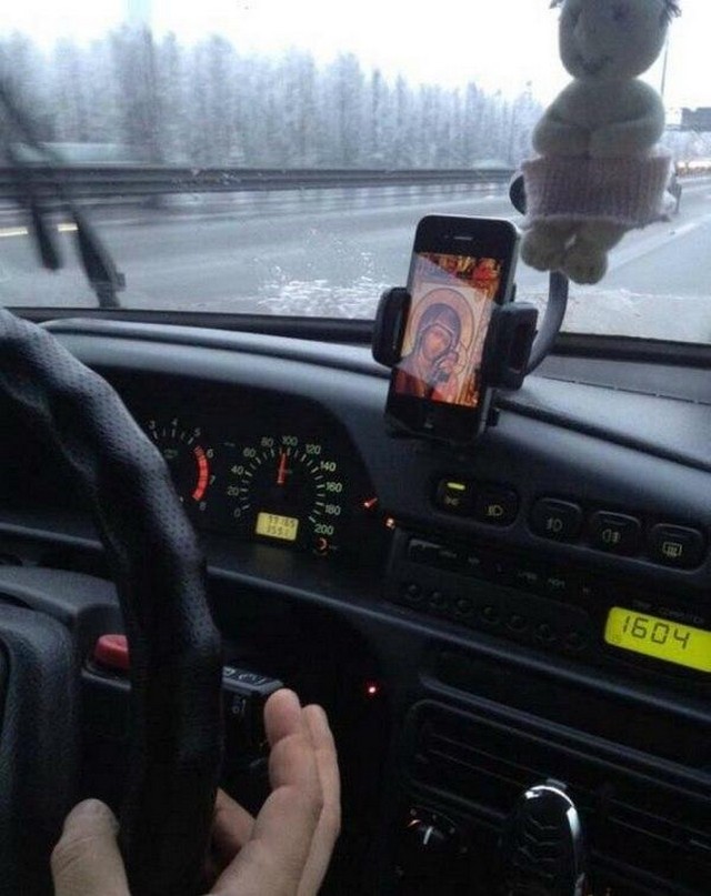 Лента прикольных картинок