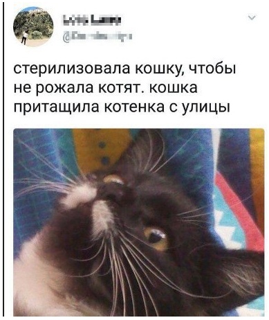 Специфический юмор