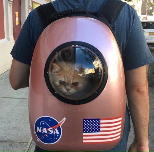 Немного милоты